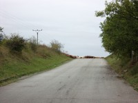 /album/cesta-snp/dsc01014-jpg/